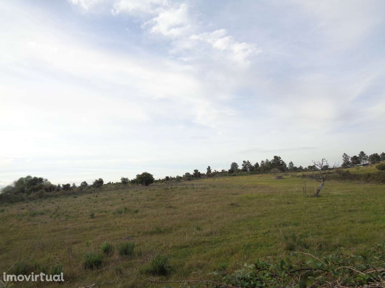 Anúncio Century 21 Portugal - Grande imagem: 3/12