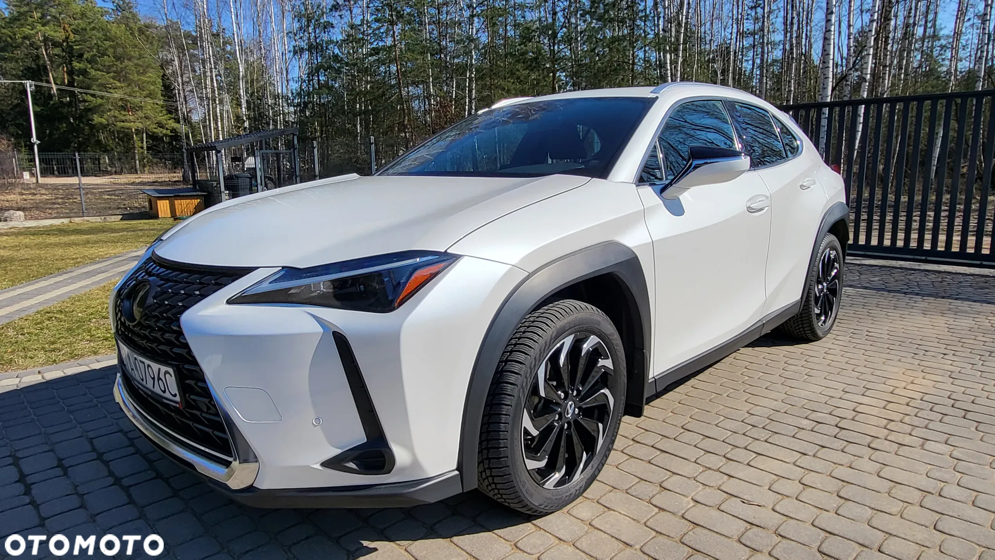 Lexus UX 250h GPF Business AWD - 14