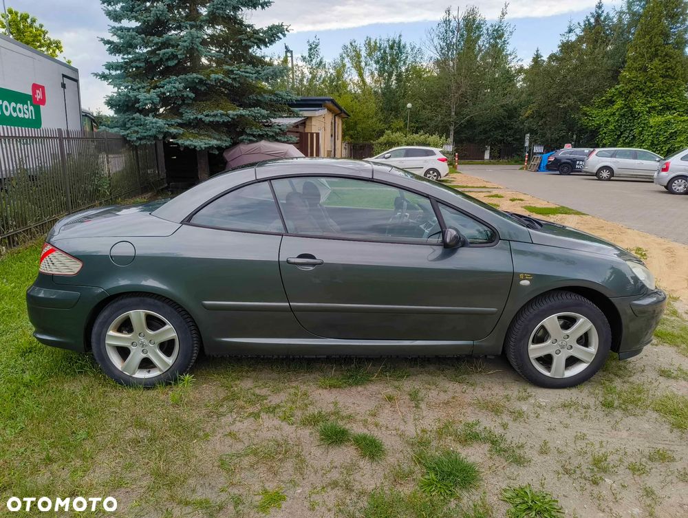 Peugeot 307 CC 2.0 - 6