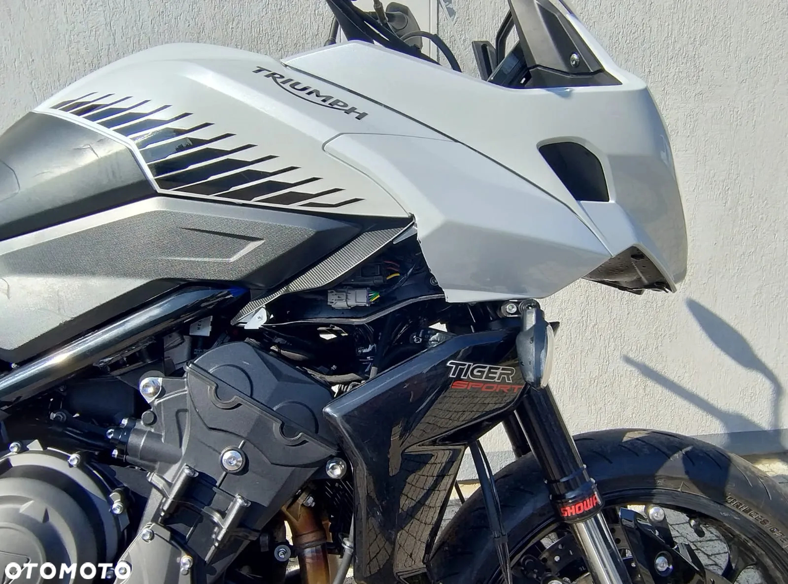 Triumph Tiger - 12
