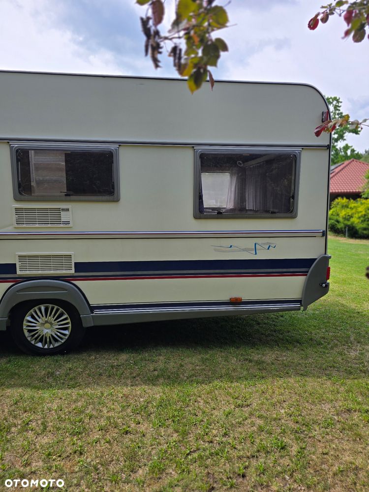 Wilk 491 DE LUXE - 29