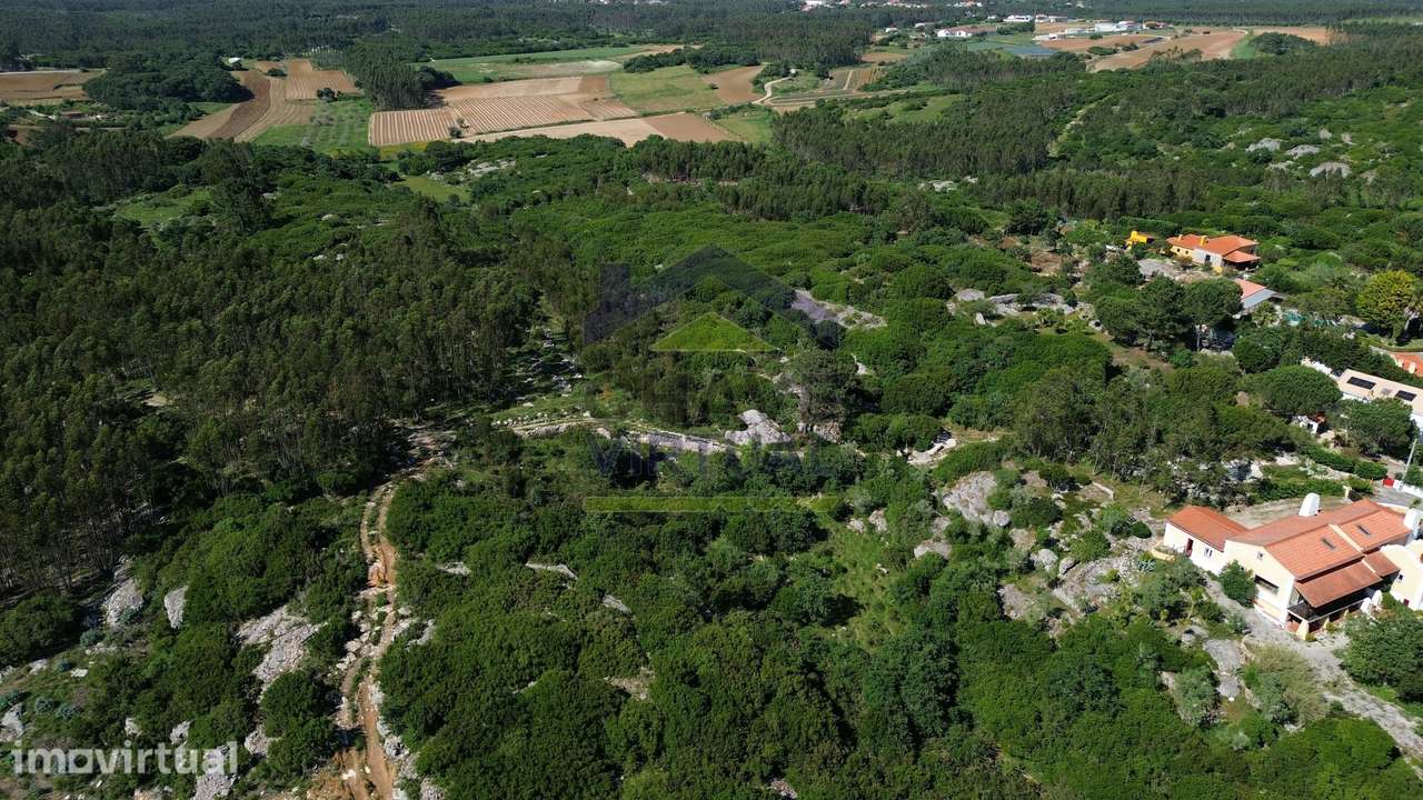 Terreno Rústico c/ 16.520 m2 Reguengo Pequeno - Lourinhã - Grande imagem: 4/32