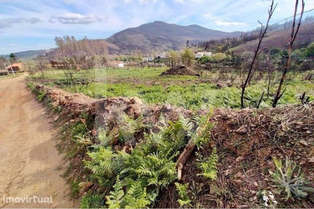 Terreno rústico parcialmente urbanizável na Serra da Estrela - Grande imagem: 5/17