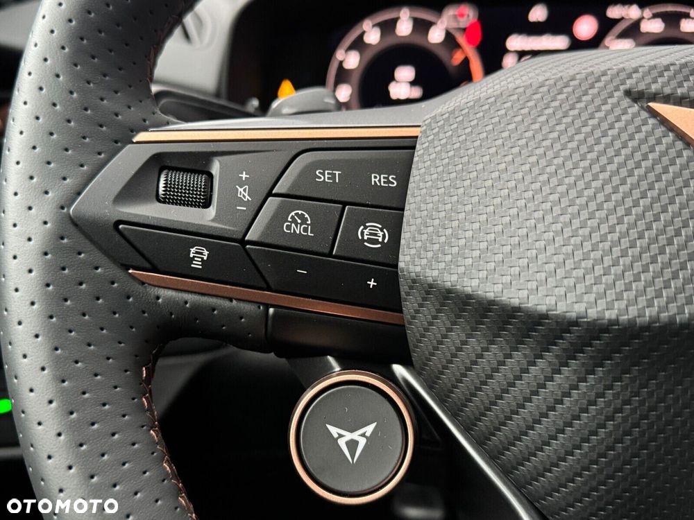Cupra Terramar 2.0 TSI 4Drive Advantage Edition DSG - 25