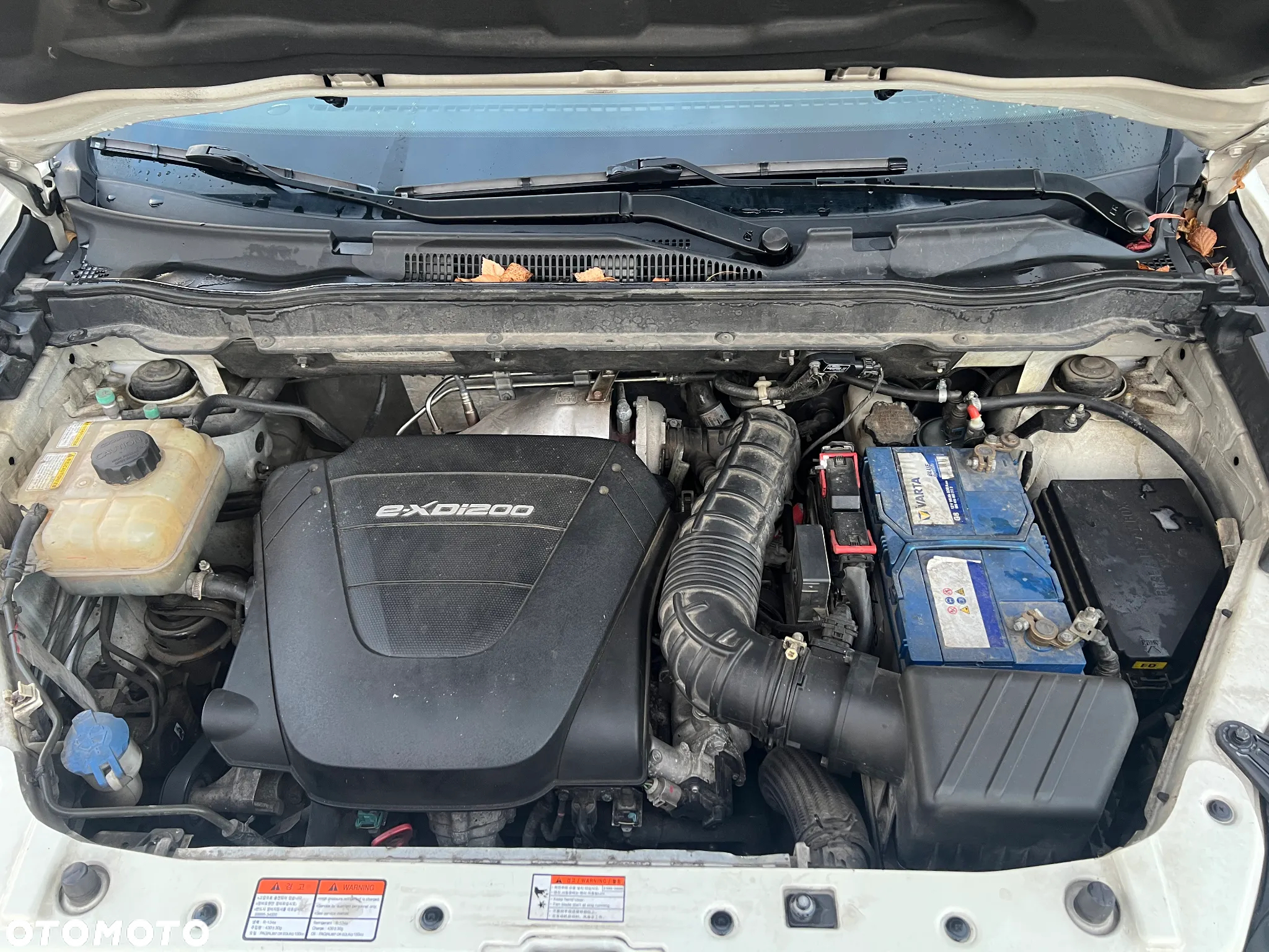SsangYong/KGM Korando 2.0 e-XDi Sapphire - 28