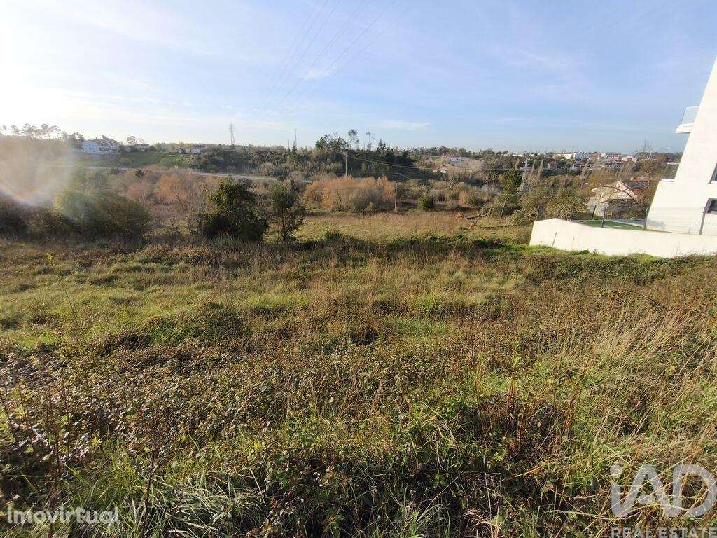 Terreno para construção em Batalha - Grande imagem: 3/26
