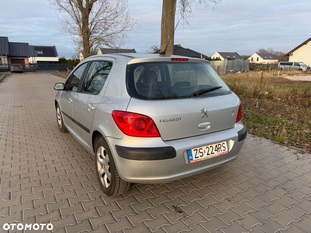 Peugeot 307 1.4 Presence - 4
