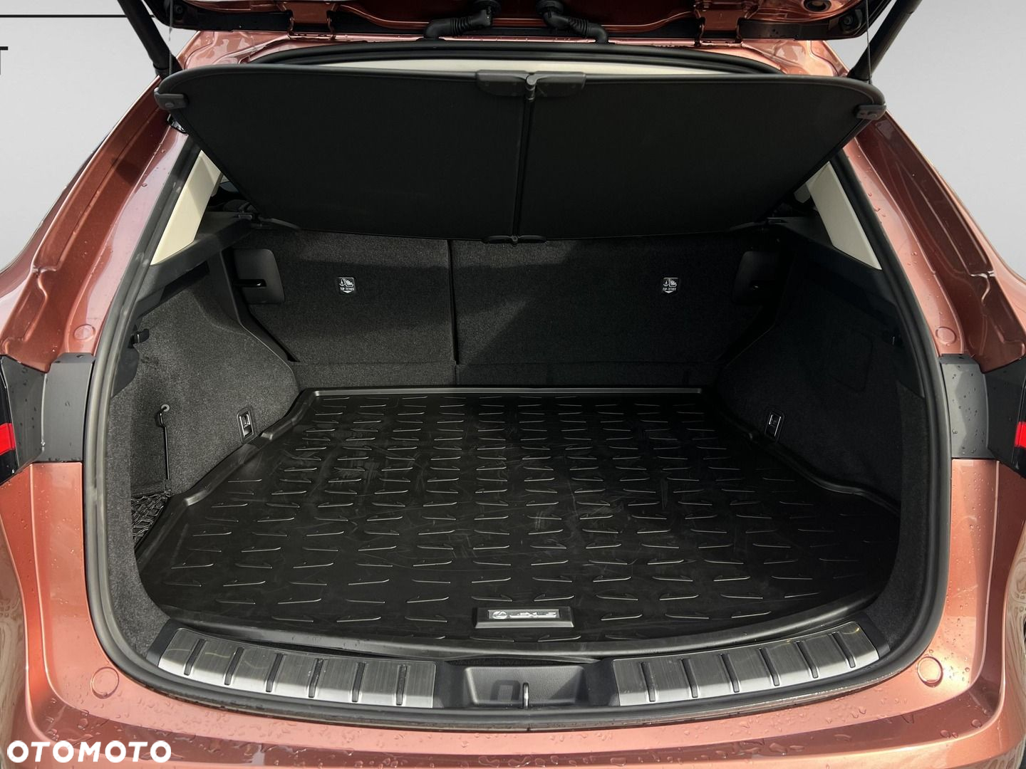 Lexus NX 350h Prestige AWD - 24