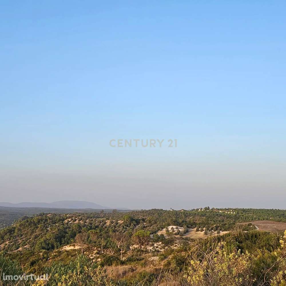Terreno rústico de 19.720,00 m2 em Abitureiras para vinha e Olival - Grande imagem: 4/12