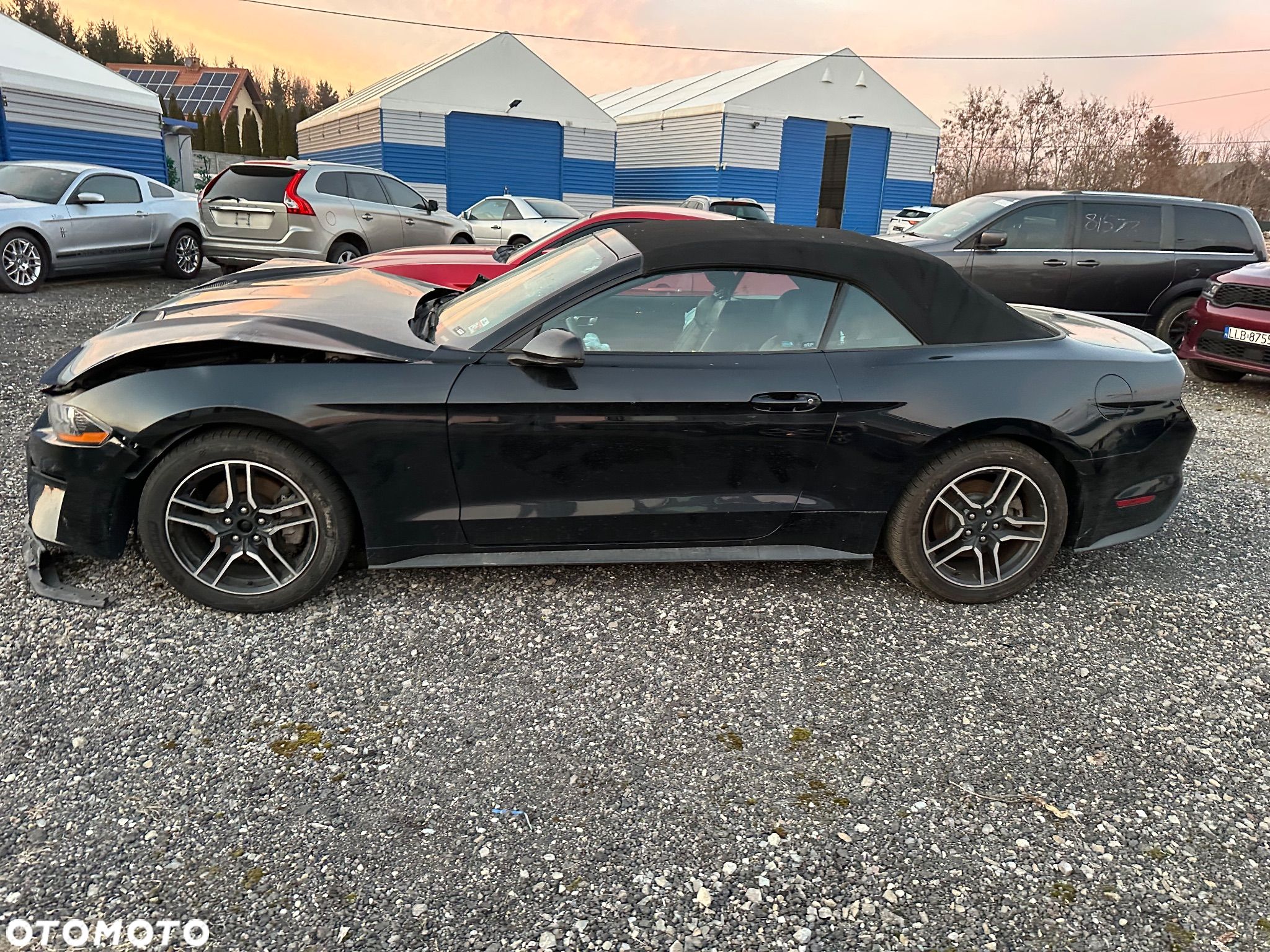 Ford Mustang Cabrio 2.3 Eco Boost - 1