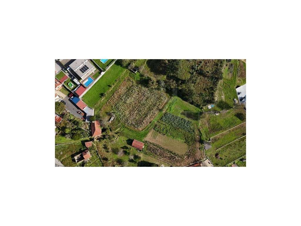 Terreno com ruína Picões, Valença - Grande imagem: 4/10