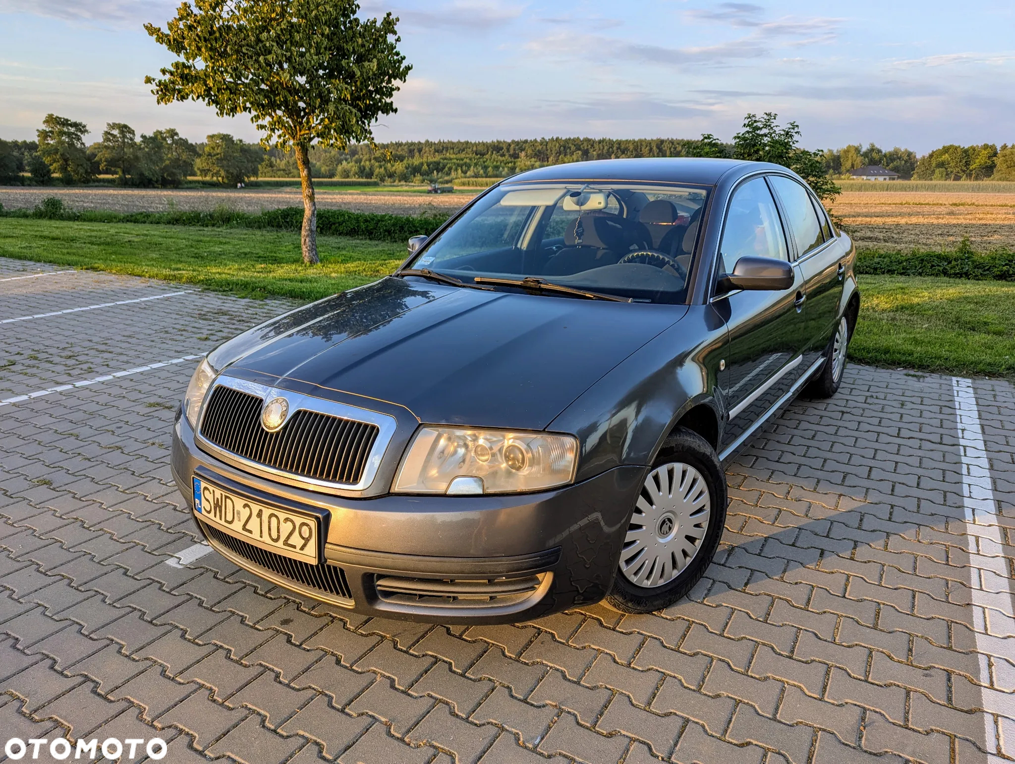 Skoda Superb 1.9 TDI Elegance - 2
