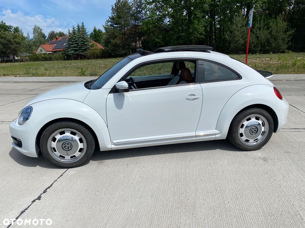 Volkswagen Beetle - 8