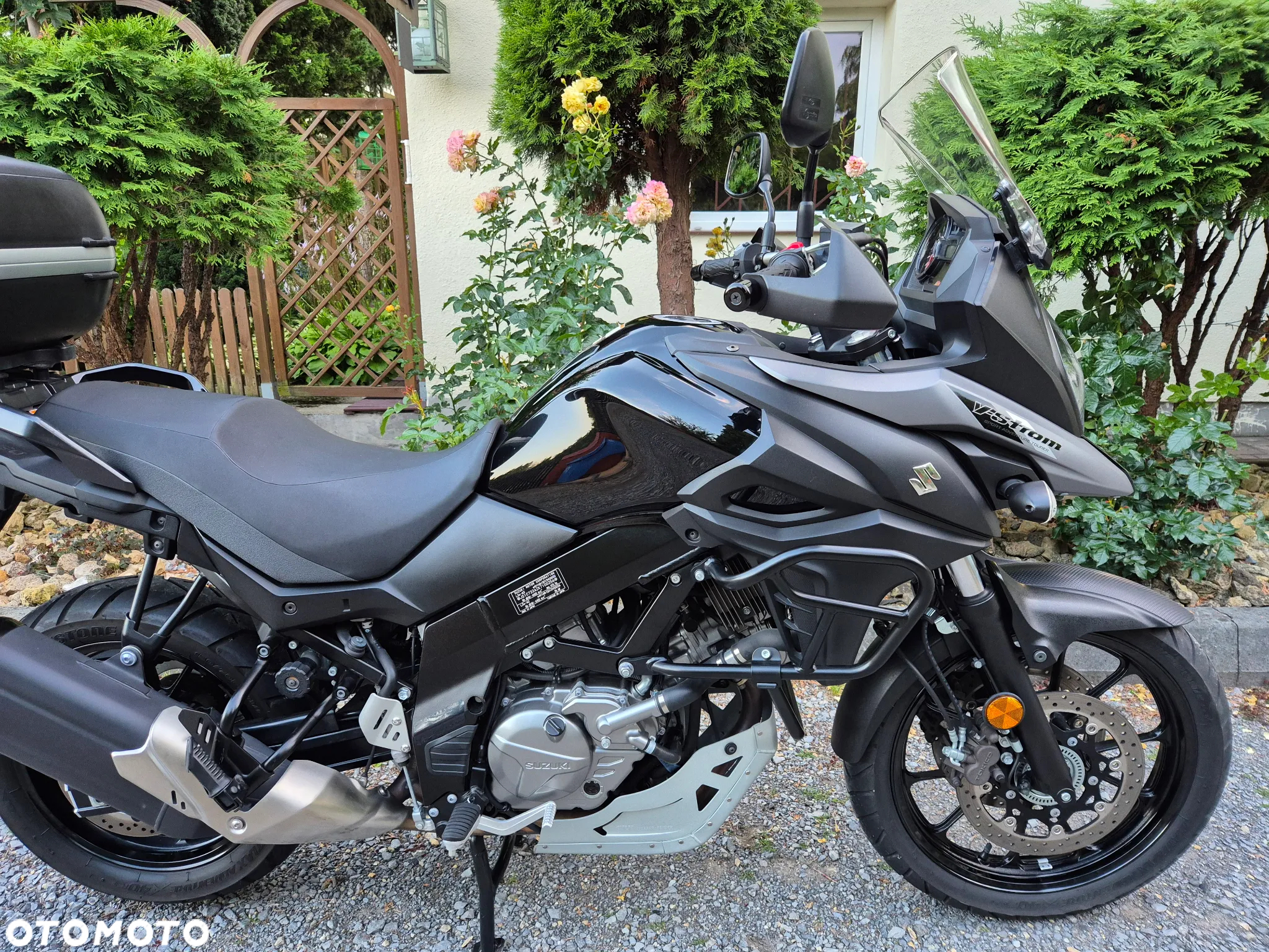 Suzuki DL - 7