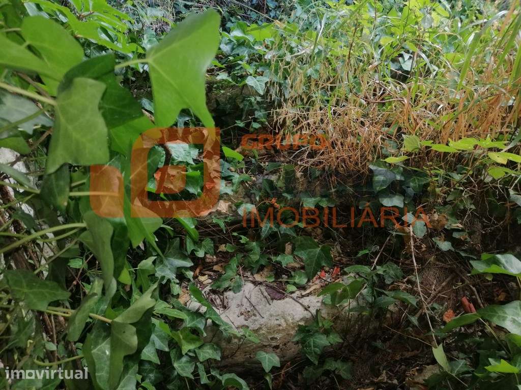 Imóvel para recuperação total no centro do Olho Marinho- Óbidos - Grande imagem: 4/8