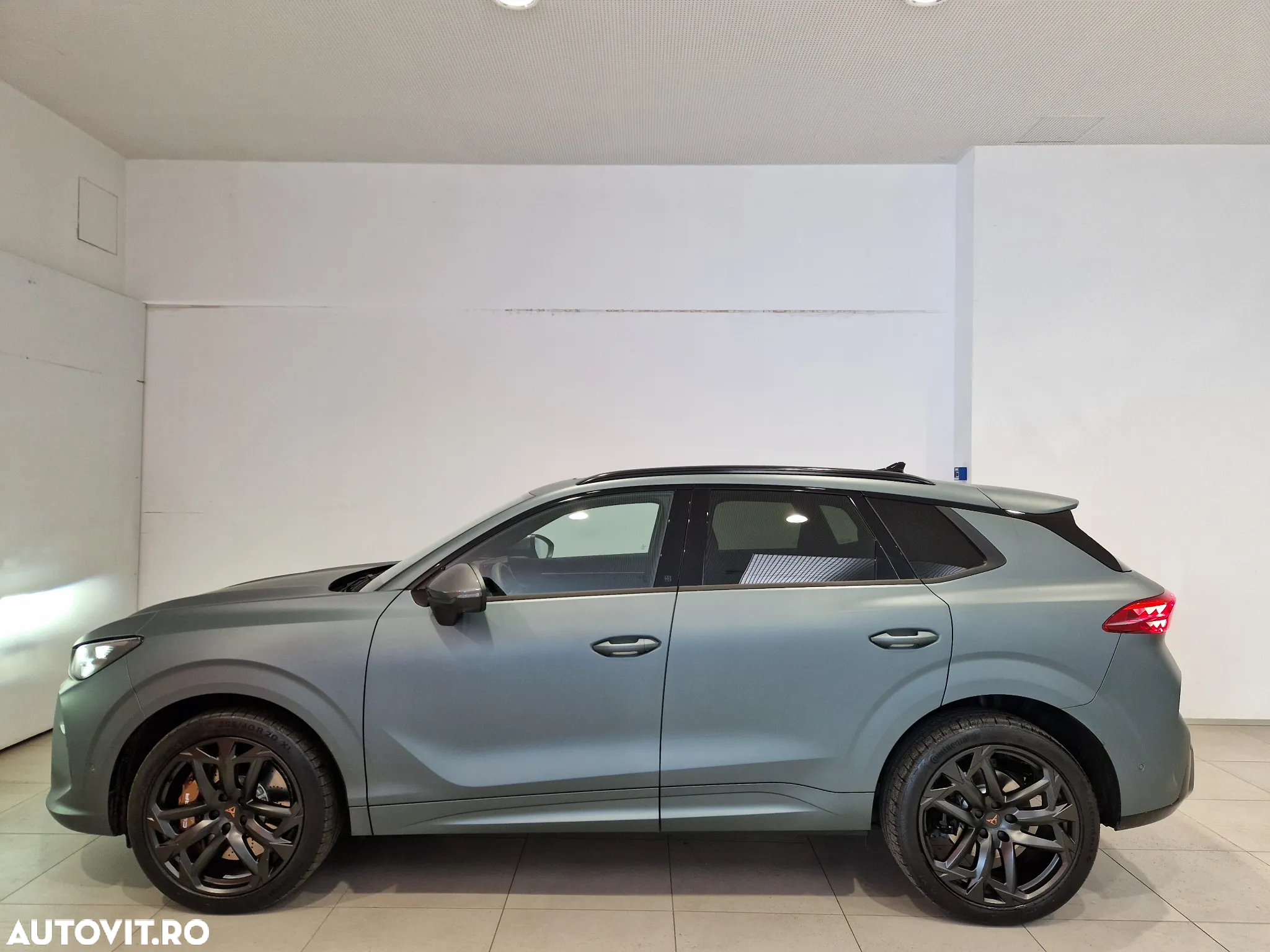 Cupra Terramar - 2
