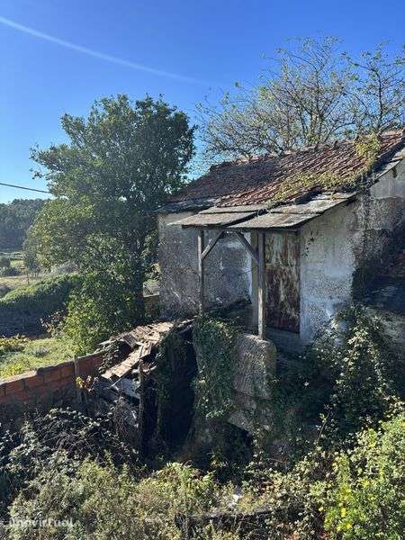 Moradia Cabroelo - Penafiel - Grande imagem: 3/10