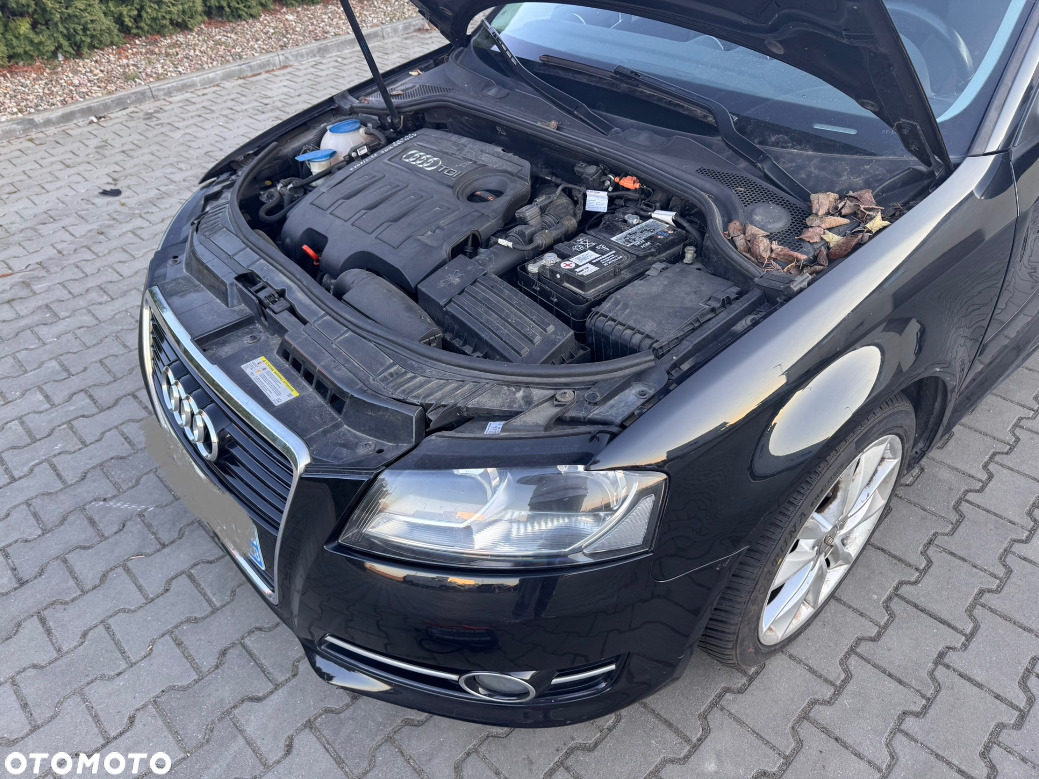 Audi A3 1.6 TDI Ambiente - 18