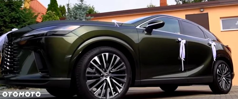 Lexus RX 300 Business Edition + - 5