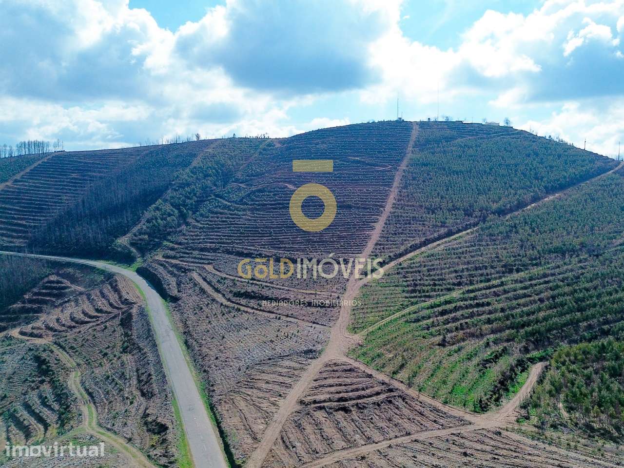 Terreno Florestal em Real - Castelo de Paiva - Grande imagem: 3/6