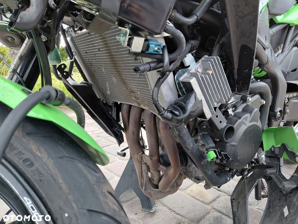 Kawasaki Ninja - 20