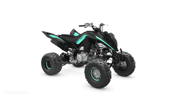 Yamaha Raptor