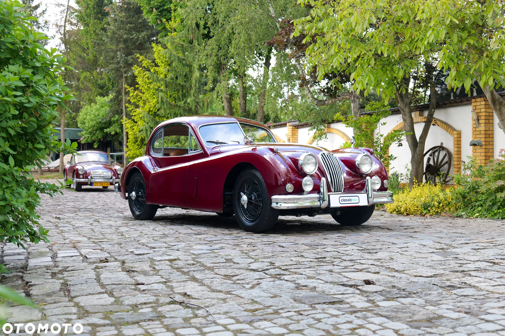 Jaguar XK - 5