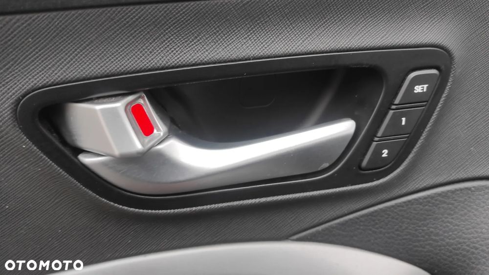 Hyundai Santa Fe 2.2 CRDi Platinium 4WD - 21