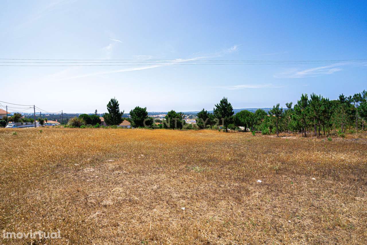 Terreno 4 910m2 | Nadadouro - Grande imagem: 2/9