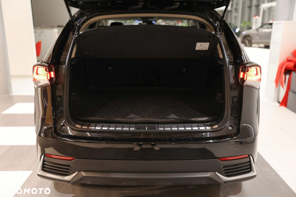 Lexus NX - 22