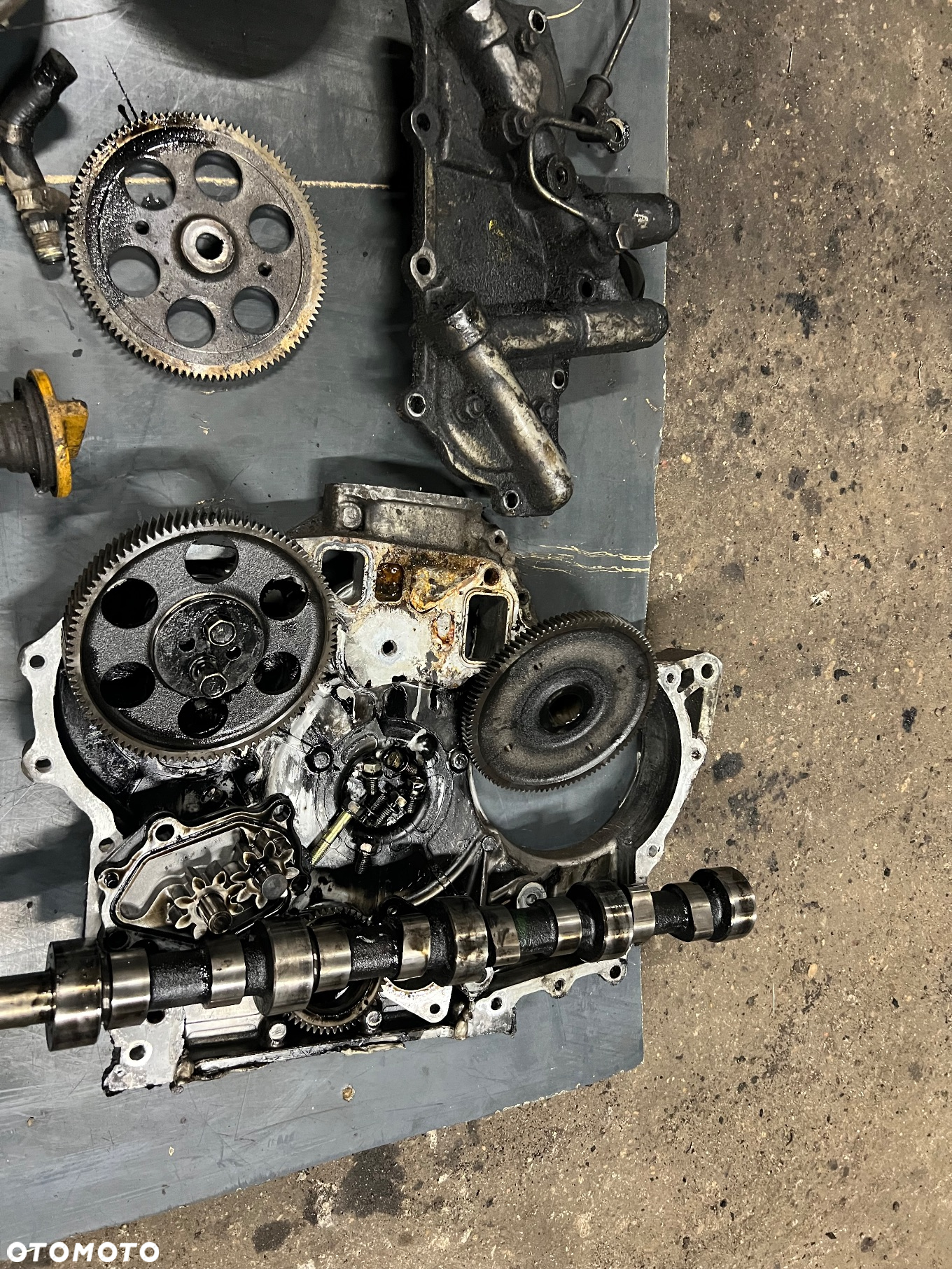 Koło zębate rozrządu Nissan Terrano 2 2.7tdi i inne - 2