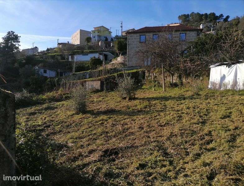 Terreno em Enxames, Santa Cruz do Douro - Grande imagem: 5/6