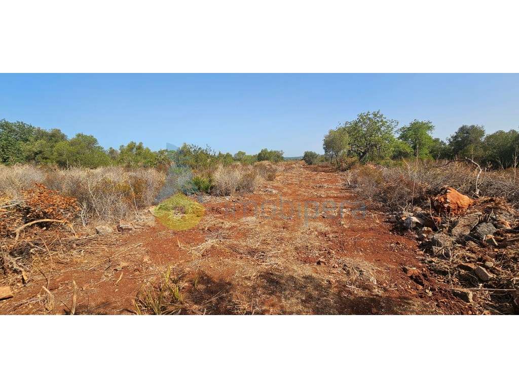 Terreno fértil em zona rural, para agricultura, projeto florestal, ... - Grande imagem: 4/6