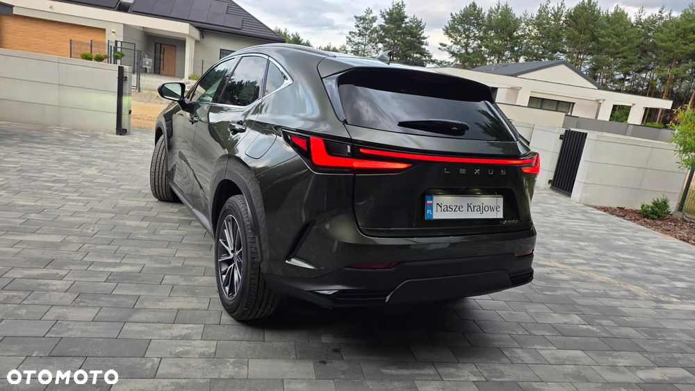 Lexus NX 350h Prestige 2WD - 7