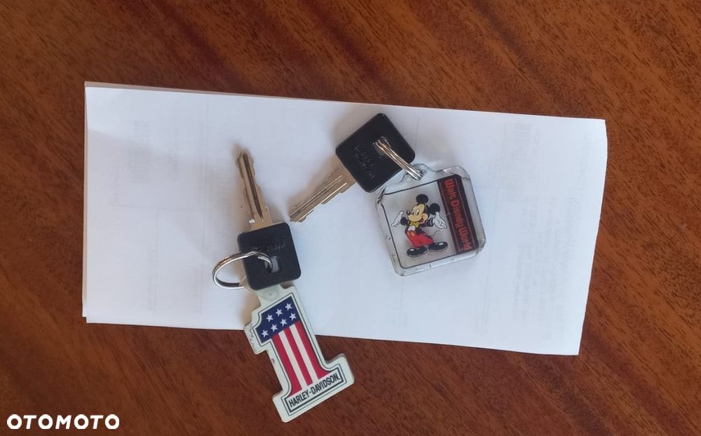 Harley-Davidson Sportster Iron 883 - 4