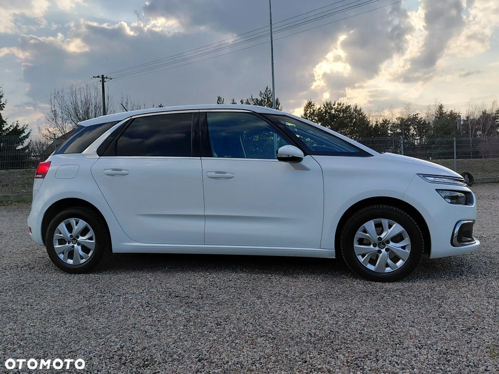 Citroën C4 SpaceTourer 1.5 BlueHDi Rip Curl S&S - 17