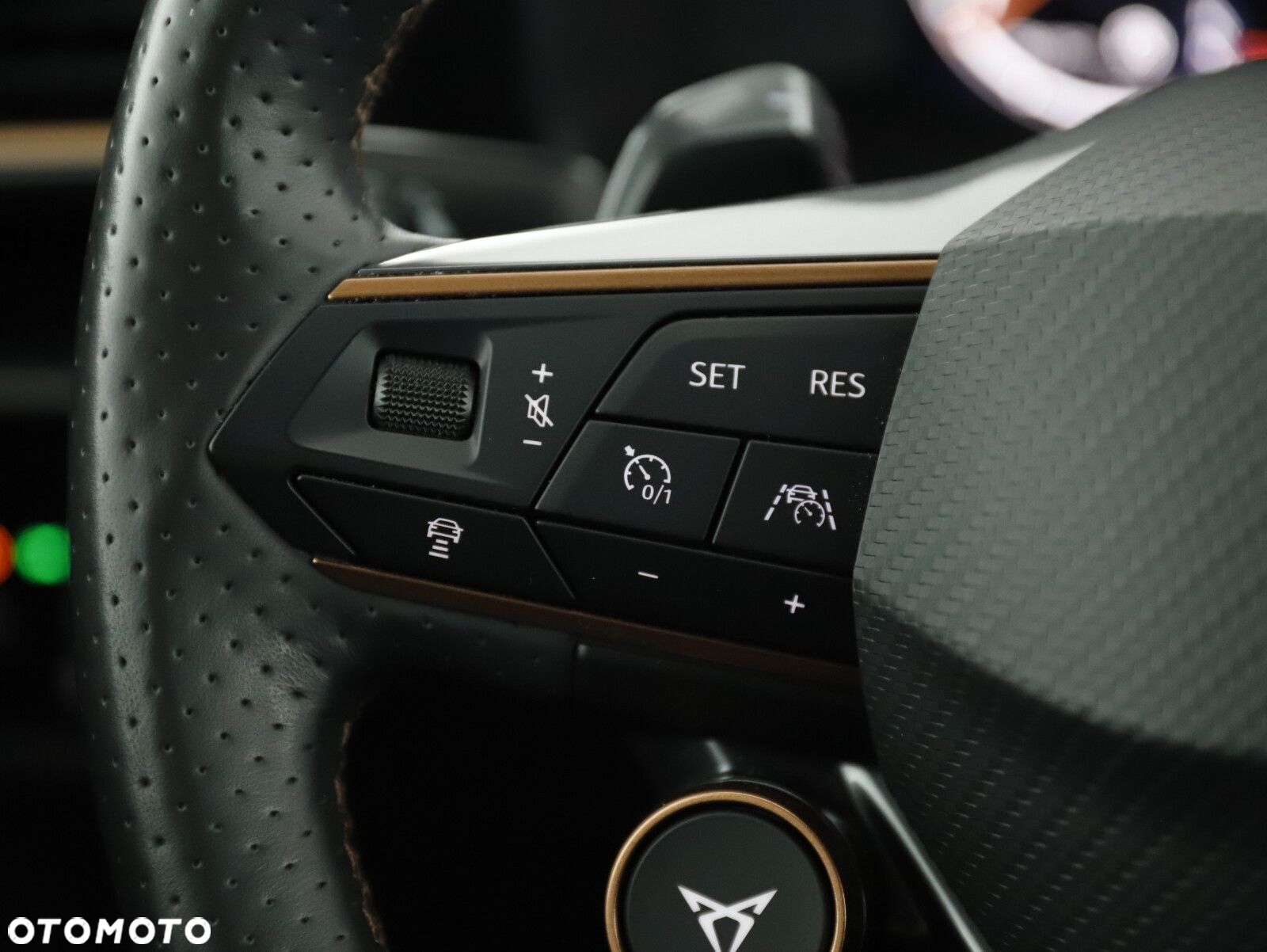 Cupra Formentor 2.0 TSI 4Drive VZ DSG - 22