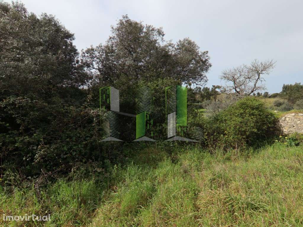 Venda moradia Montemor-o-Velho - Grande imagem: 4/25