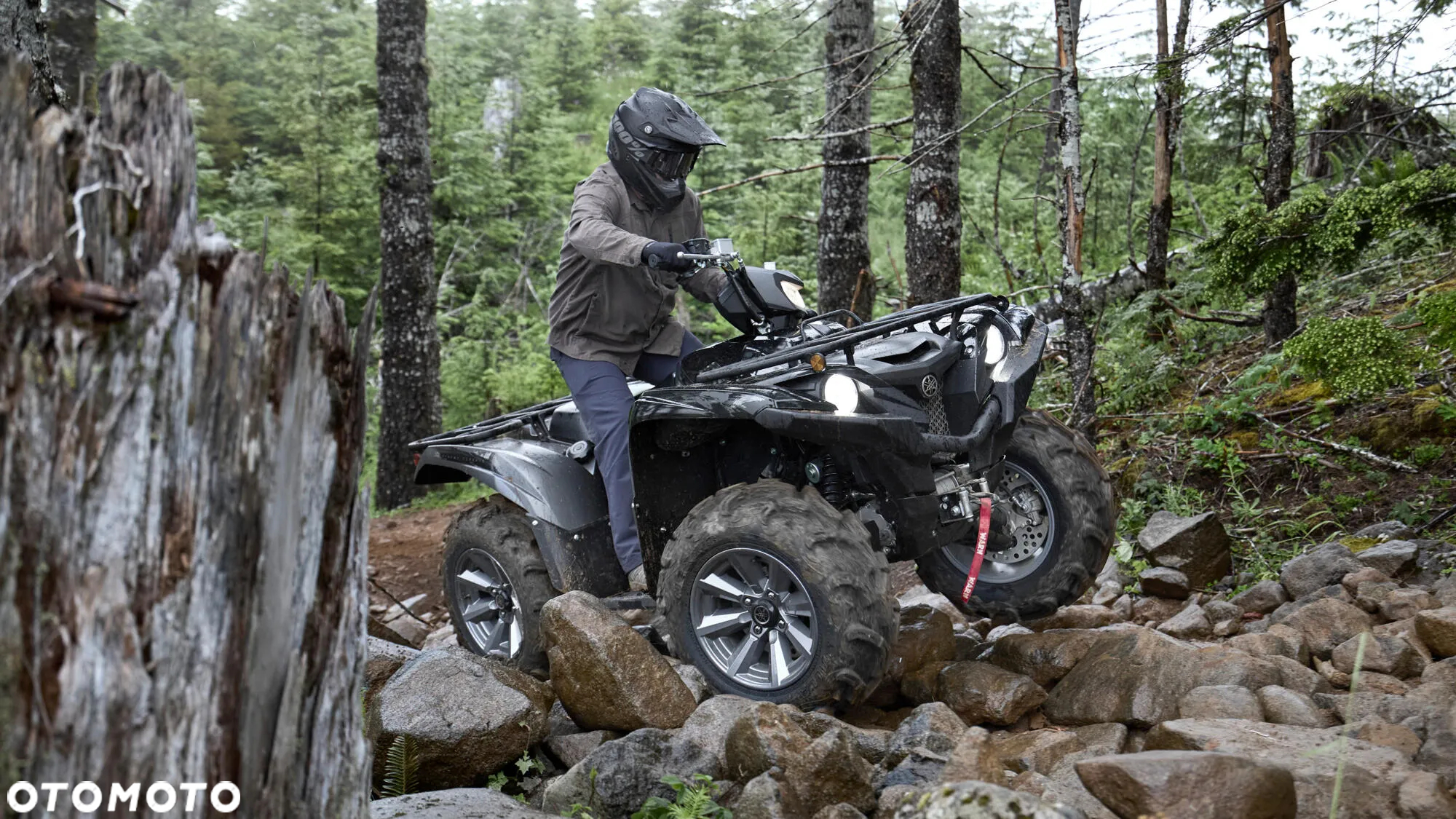 Yamaha Grizzly - 3