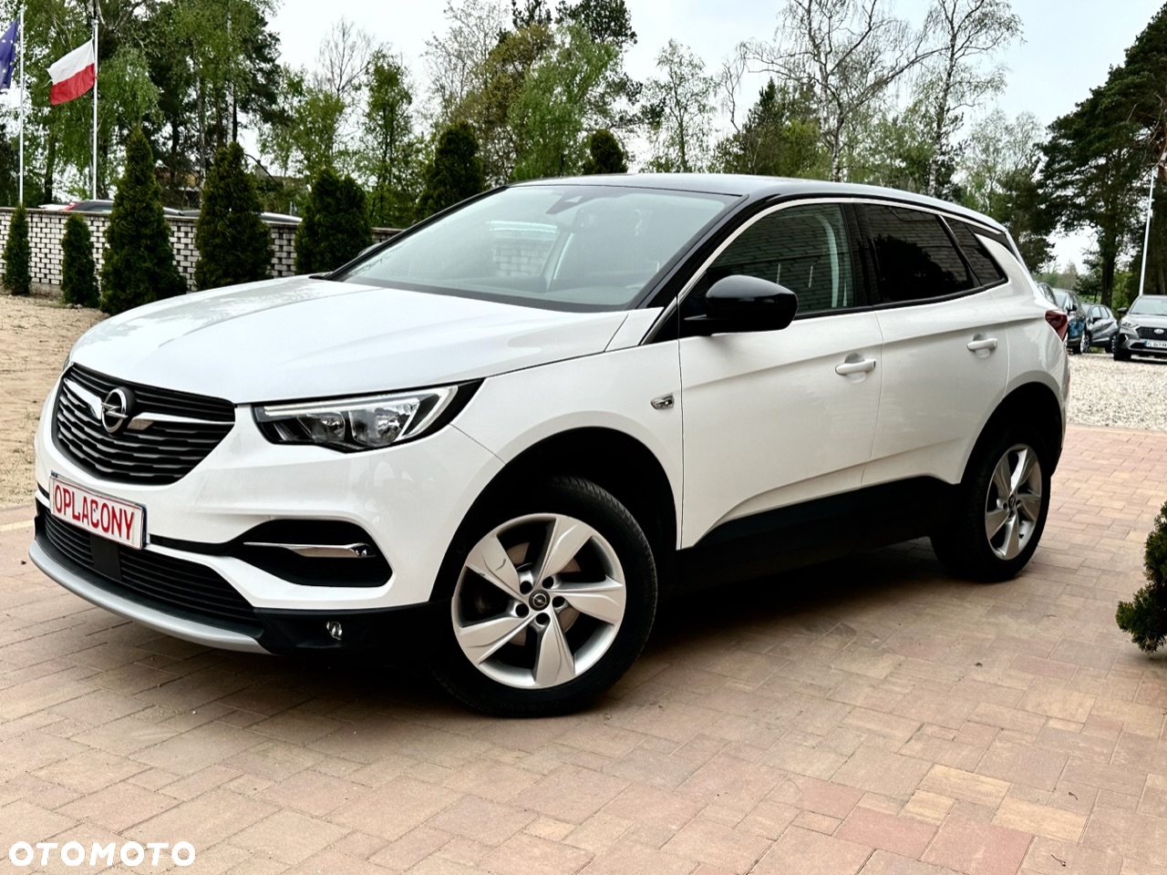 Opel Grandland X - 10