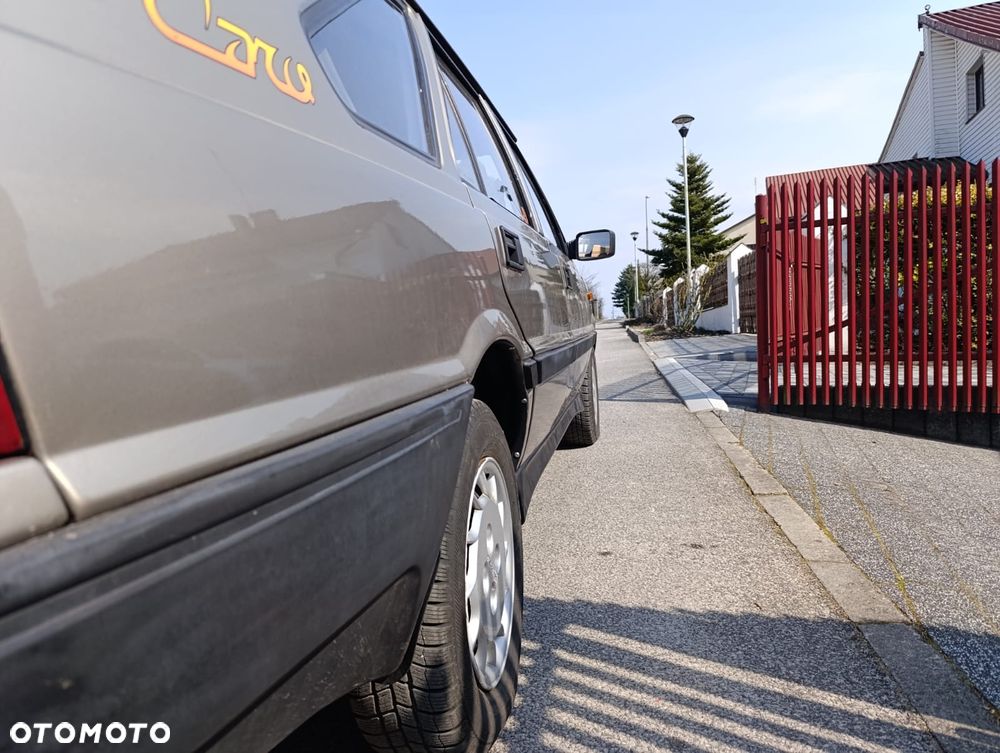Polonez Caro - 11