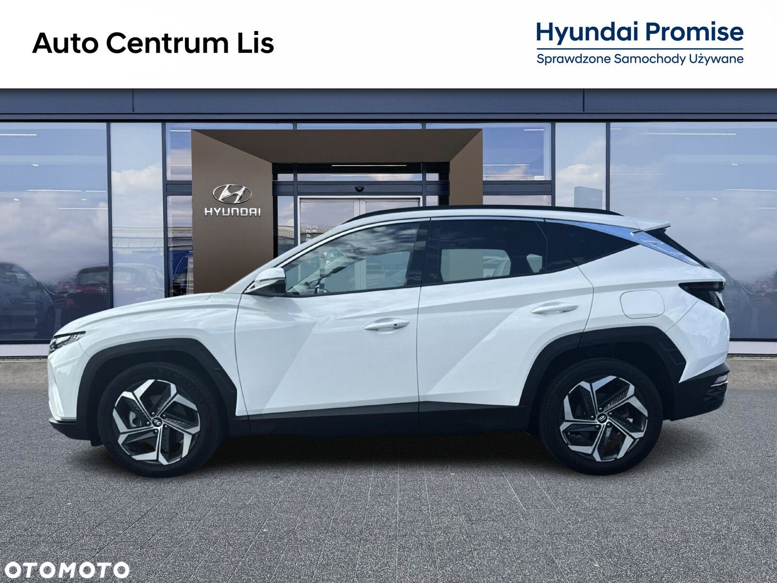 Hyundai Tucson 1.6 T-GDi HEV Platinum 4WD - 2