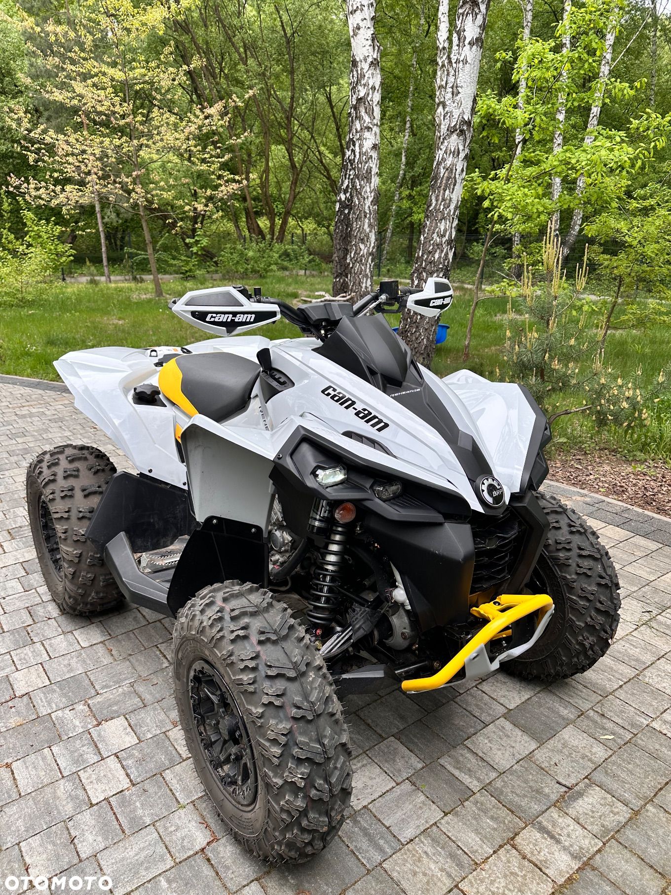 Can-Am Renegade - 1