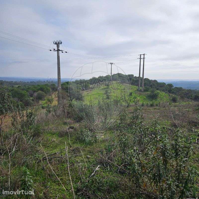 Terreno  para venda - Grande imagem: 2/19