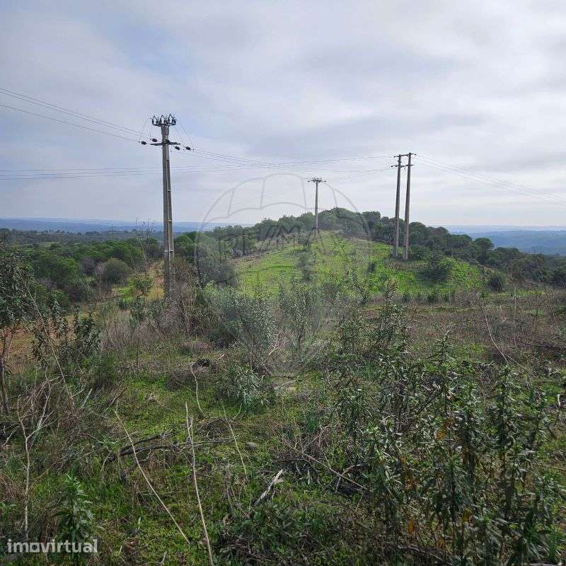 Terreno  para venda - Grande imagem: 2/19