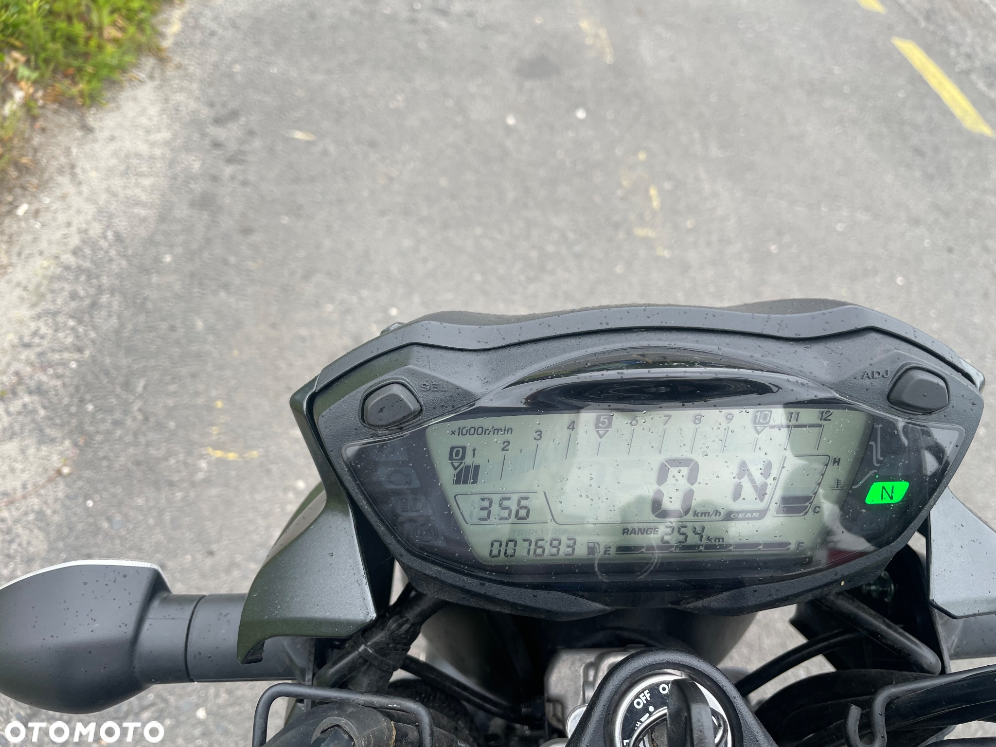 Suzuki SV - 2