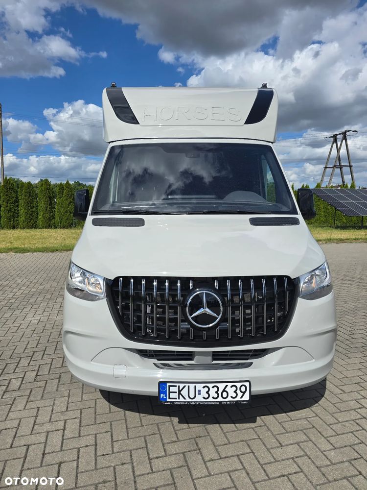 Mercedes-Benz Koniowóz-Sprinter - 7