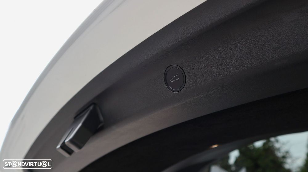 Tesla Model Y Tração Traseira - 10