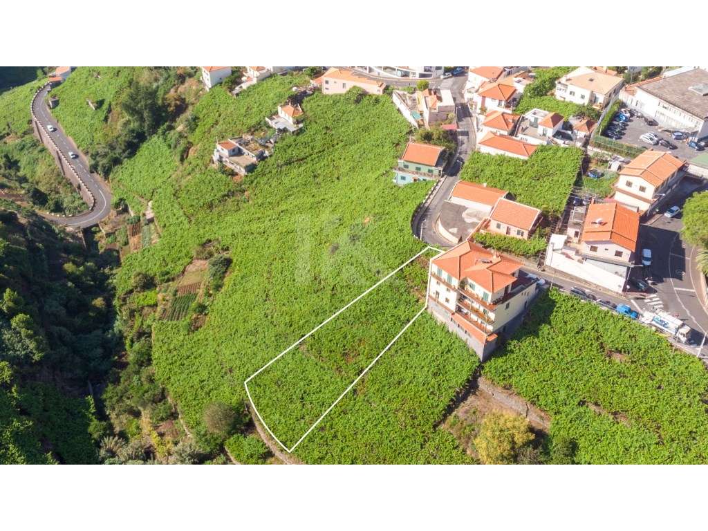 Lote Estreito de Câmara de Lobos - Grande imagem: 2/8