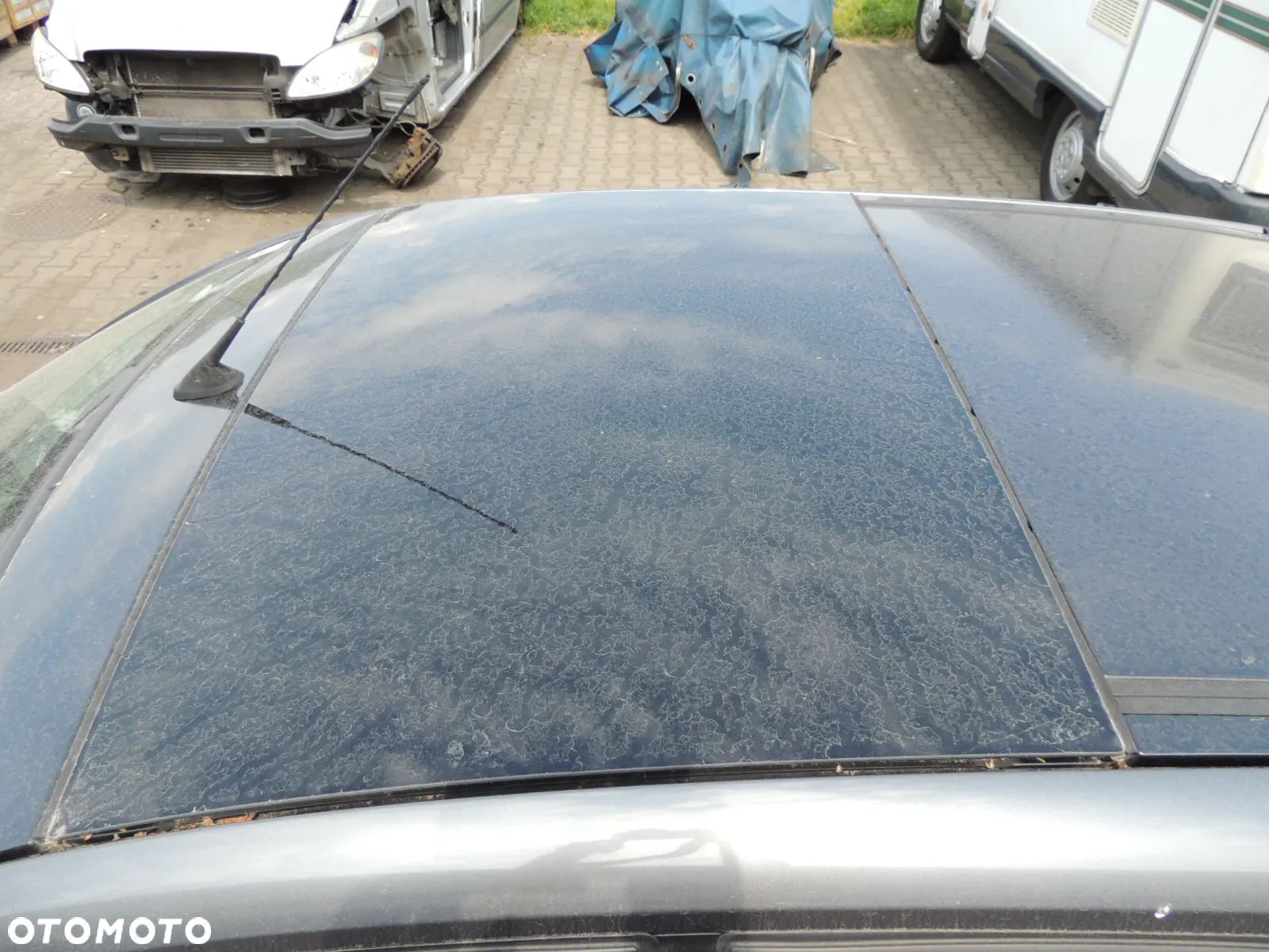 Dach szklany Smart Forfour '06 - 1